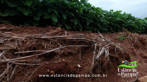 DOS EÓLICOS VIRA P FAZENDA_Moment.00_01_57_17.Quadro152_ec554e8f269ad04a9f88b857a9ac83e6865a4c19.jpg